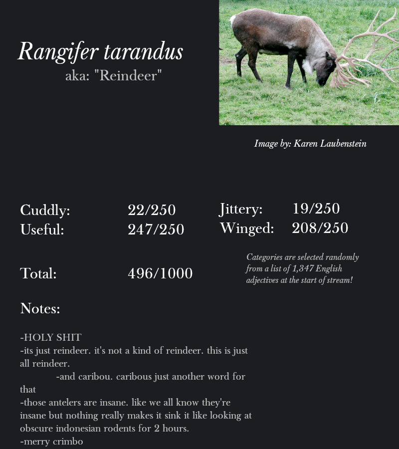 Rangifer tarandus